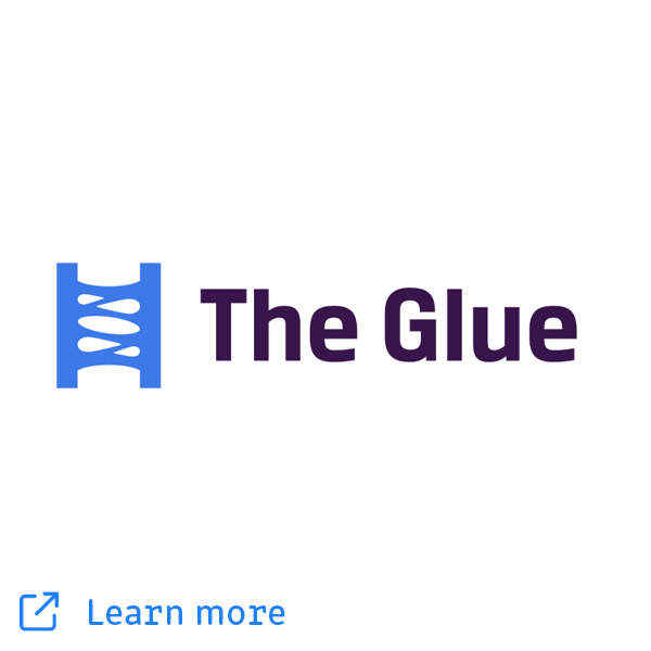 The Glue - Alpana-Ventures portfolio